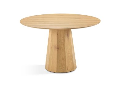 DT924 Mesa Dugar Home