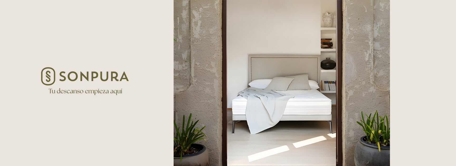 header-prisma24-sonpura