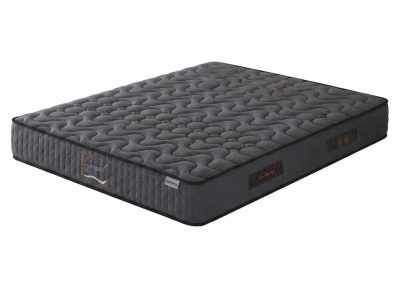 Spinal V4 Karibian